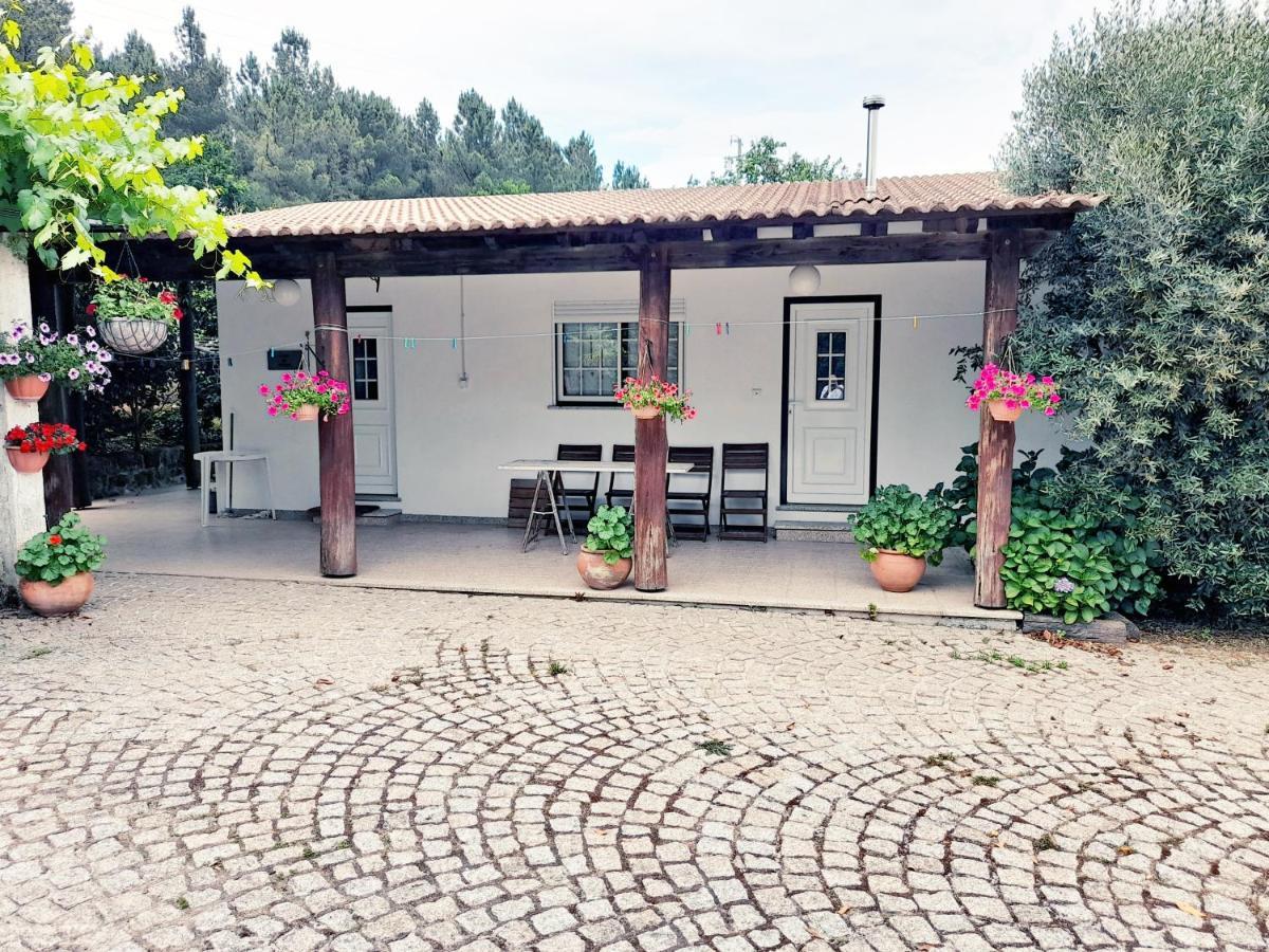 Casa Das Aveleiras - Satao Vila de Igreja Bagian luar foto