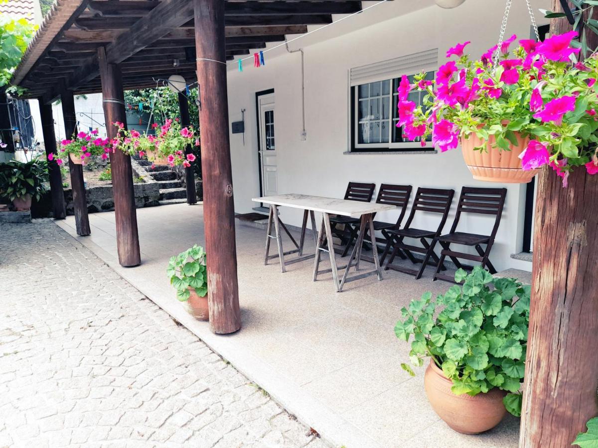 Casa Das Aveleiras - Satao Vila de Igreja Bagian luar foto